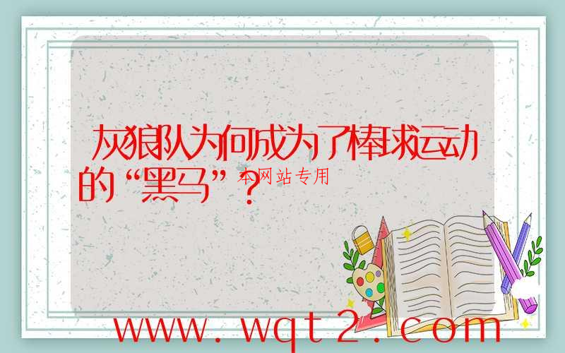 灰狼队为何成为了棒球运动的“黑马”？